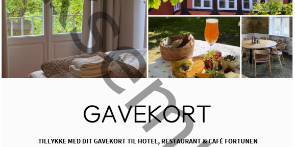 NYHED: Du kan nu k&oslash;be gavekort
